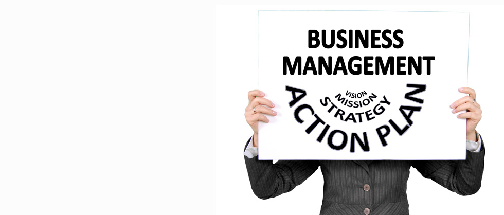 Business Management - Vision Mission Strategy Action Plan